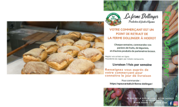 Pain et dollinger.png
